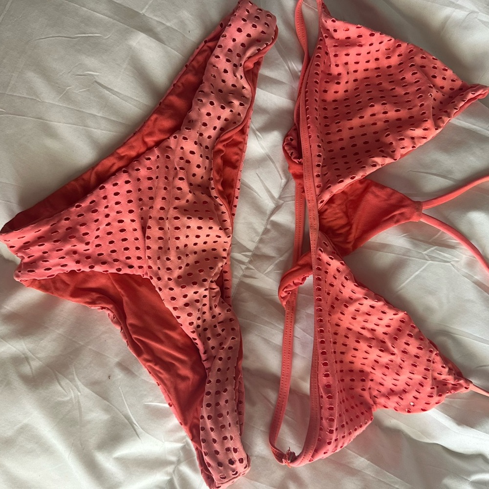 Acacia bikini